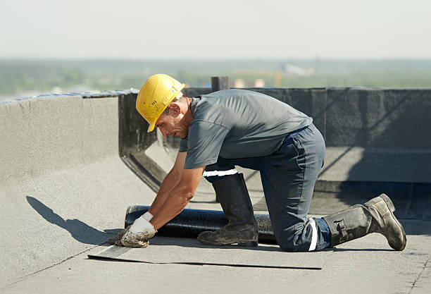 Best Insulation Installation Services in Lwa, CA