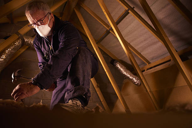 Best Insulation for Specific Applications in Lwa, CA